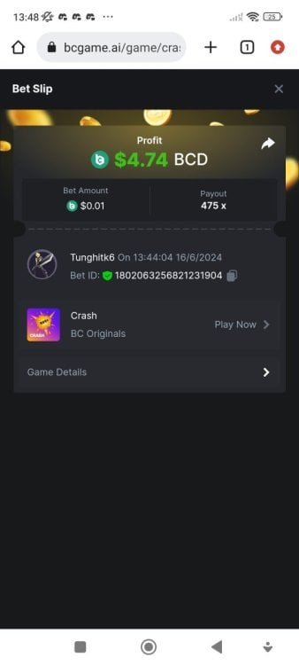 Screenshot_2024-06-16-13-48-01-896_com.android.chrome.jpg